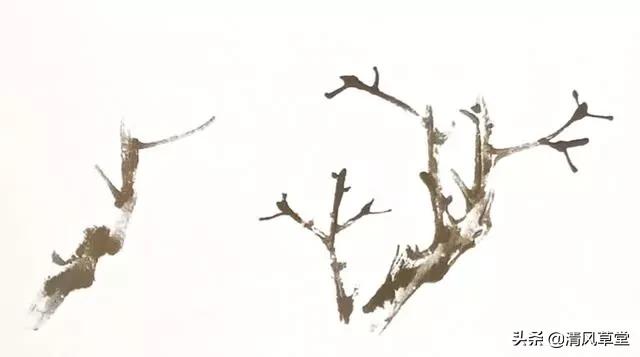 少儿国画花卉画法视频,各种花卉的100种画法