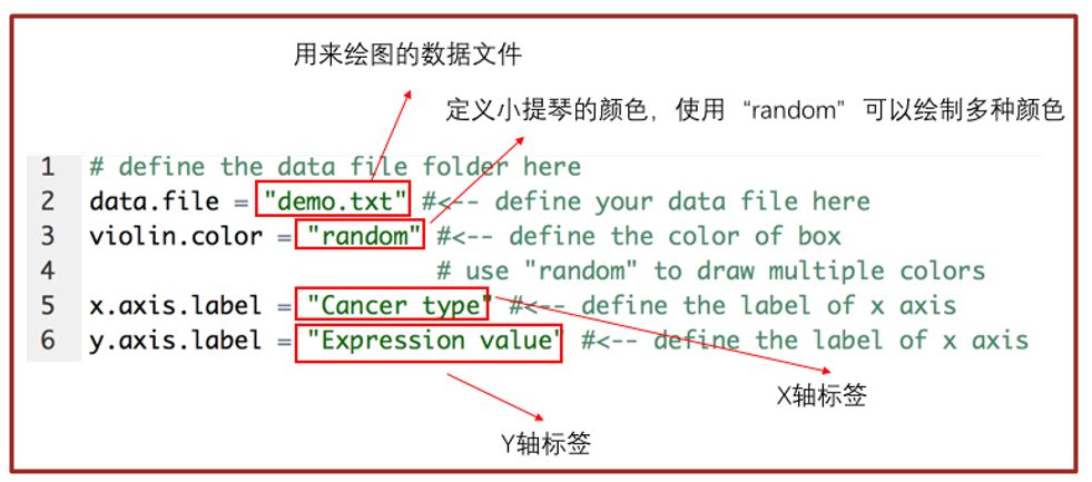 科研猫图片,科研猫
