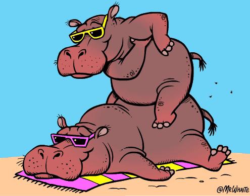 鳝鱼冷知识,冷知识第二季完整