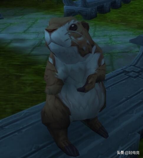 魔兽怀旧服各阶段宠物价格,魔兽怀旧服新手宠物排行榜