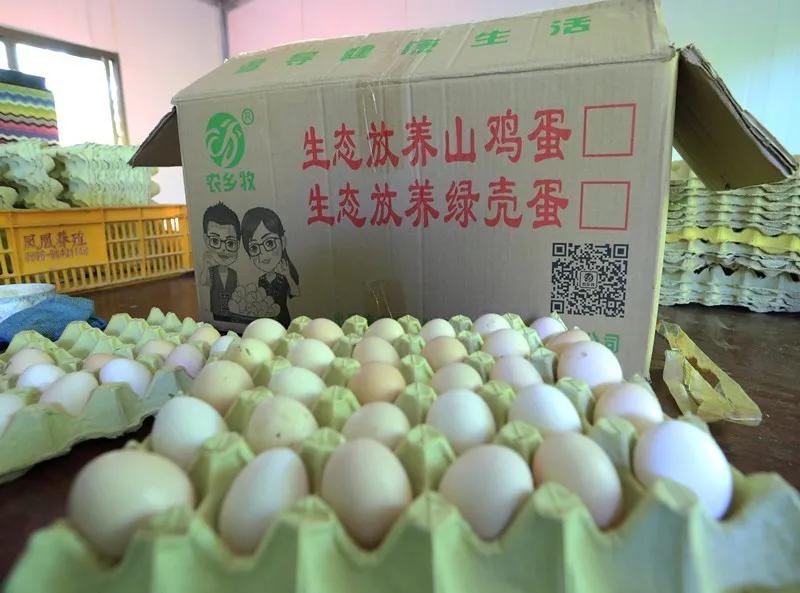 喻文波的传奇人生,喻文波彩虹岛