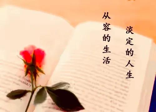 把酒祝东风且共从容,把酒祝东风且共从容完整版