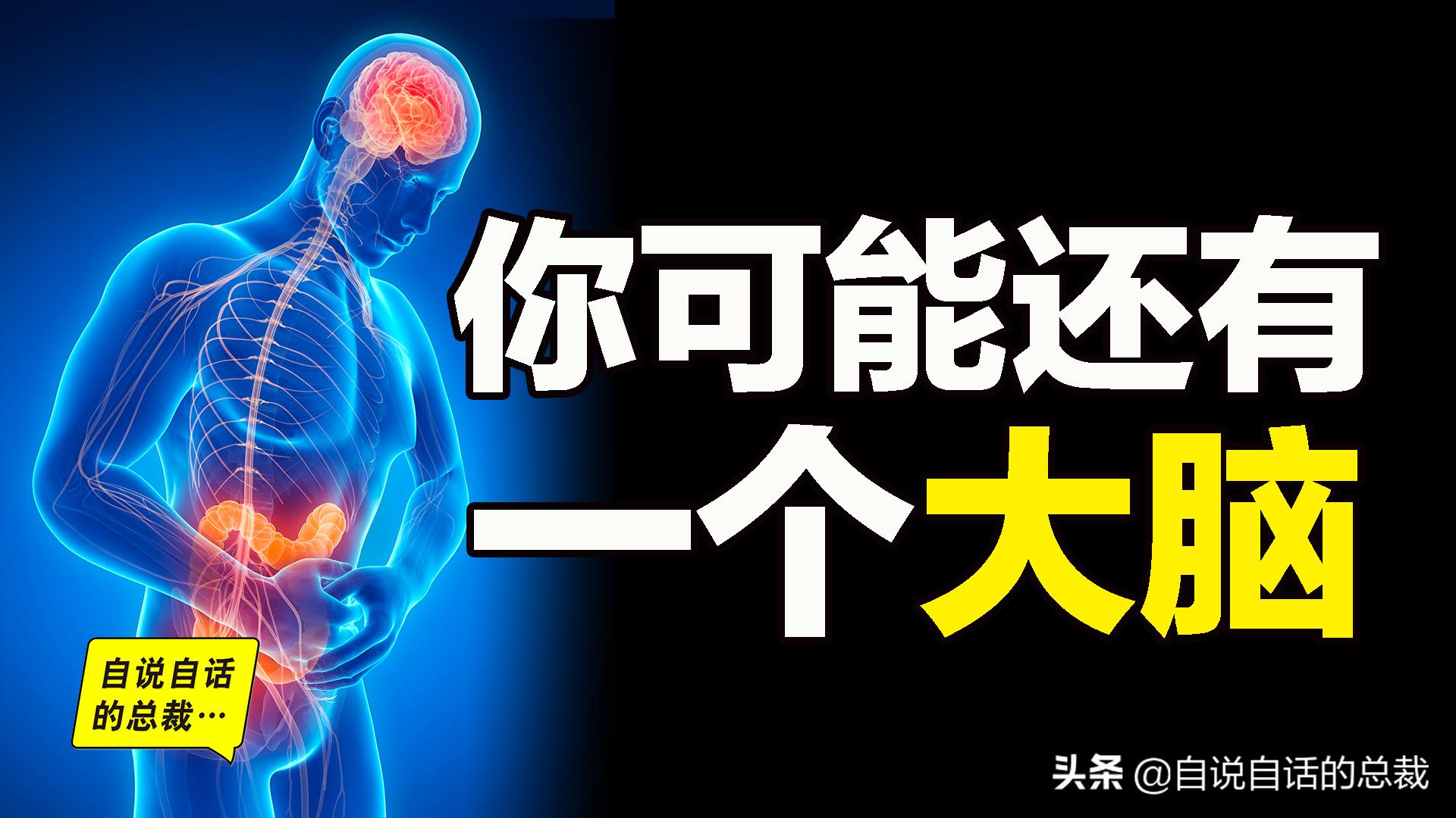 吃翔救命，最奇葩的药，人体“第二大脑”的五个惊奇