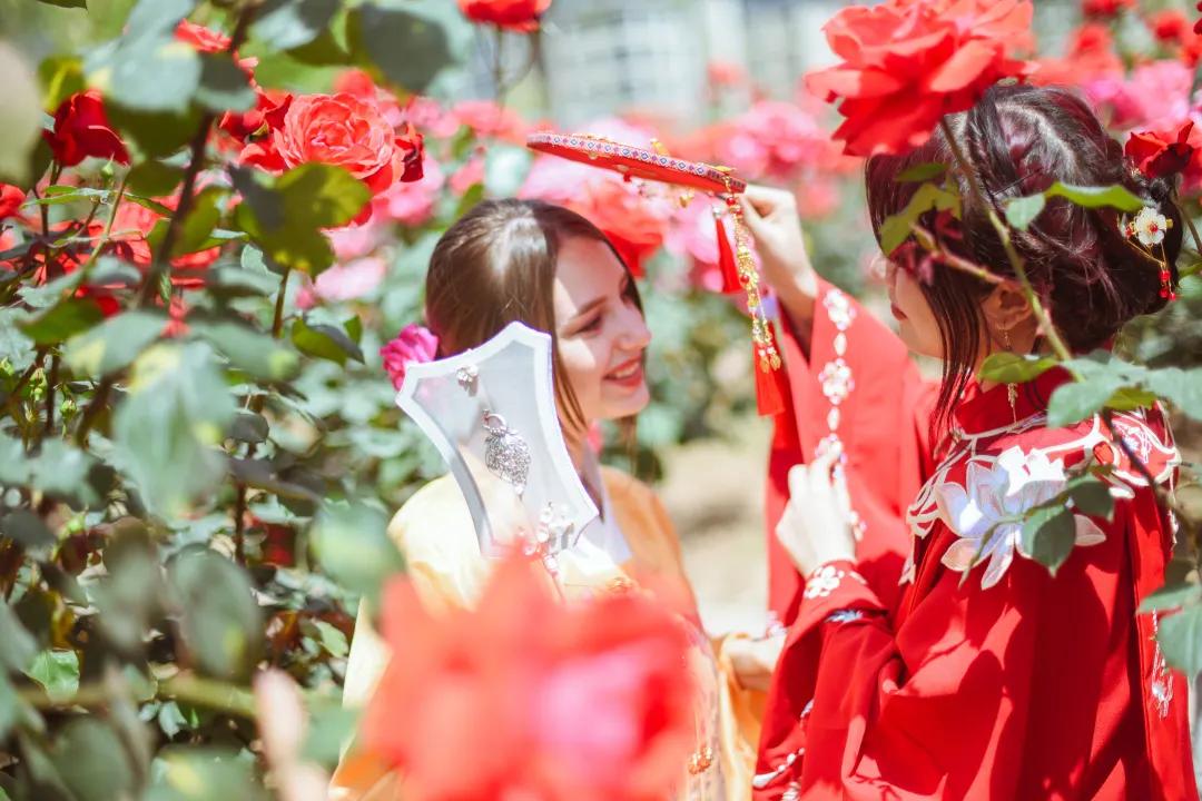 又刷屏了!高新这片花海,惊艳你的朋友圈!