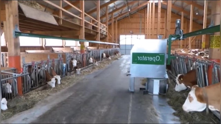 机械化养牛场,中国机械化养牛的新模式