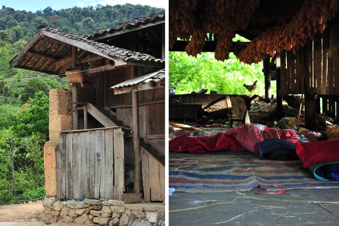 吃毒菇、睡蛇窝,只为挖一堆草,这个重庆博士要做当代神农