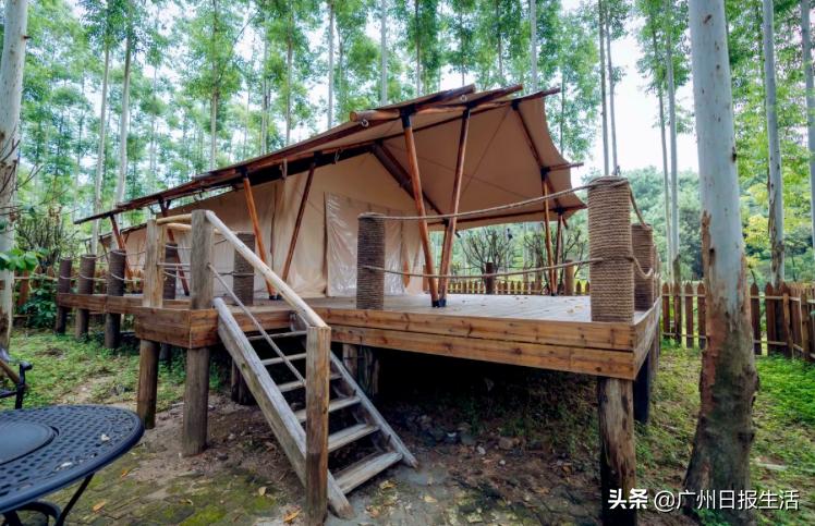 自驾房车牛Year省内营地玩法多