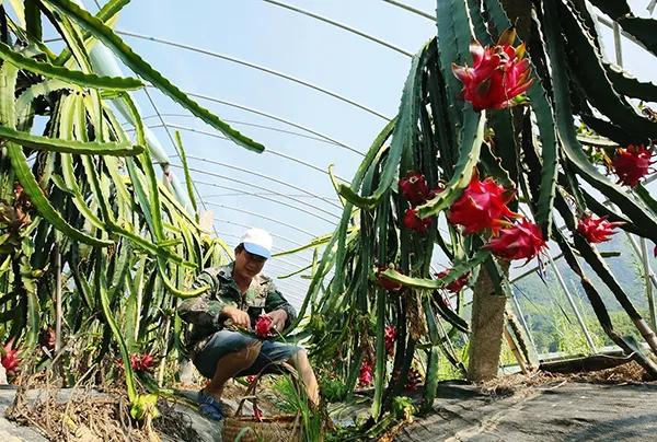 长三角城市群最佳旅游线路,长三角示范区旅游详细攻略
