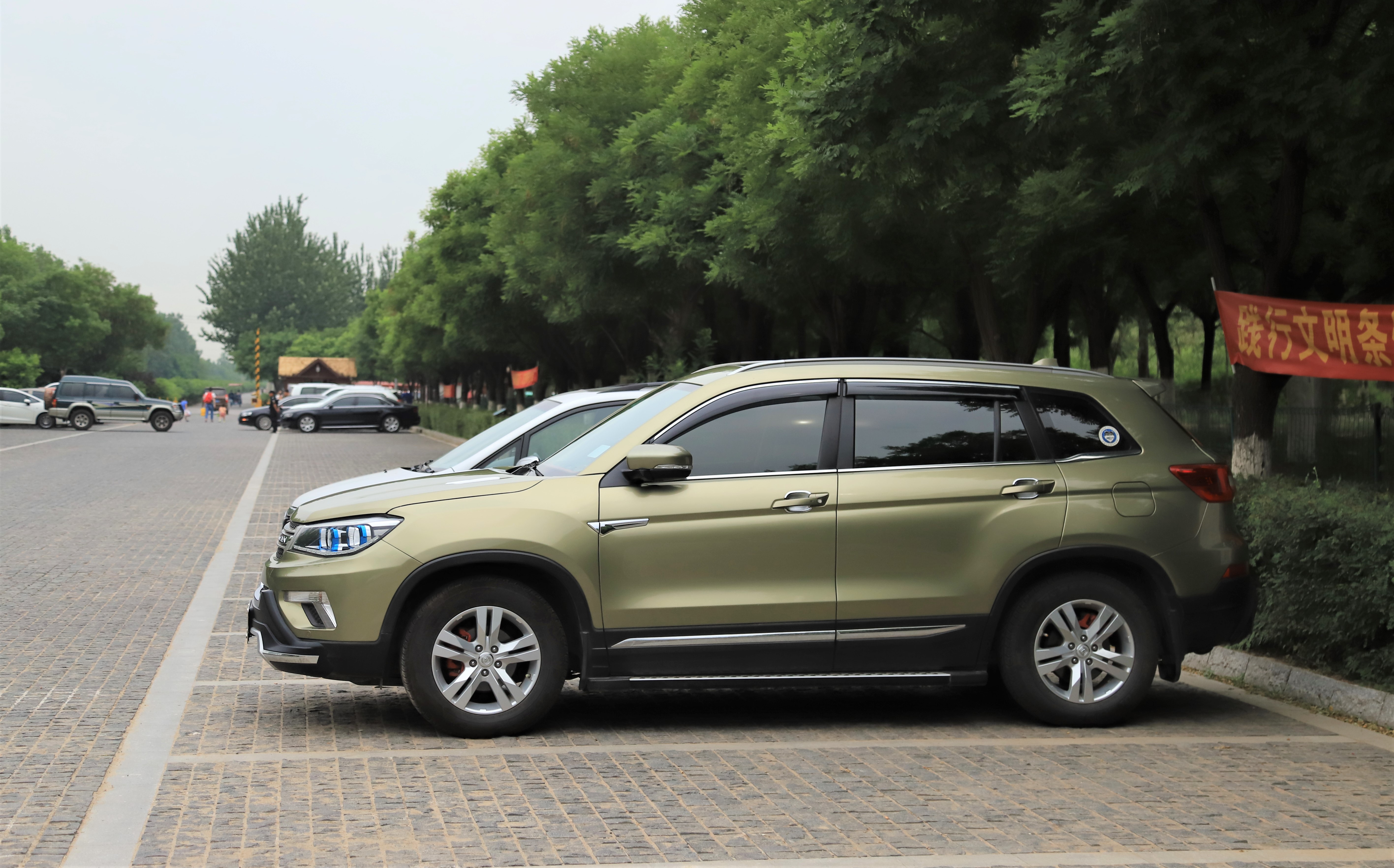 秋高气爽公园散步随拍,深秋天津的郊野公园