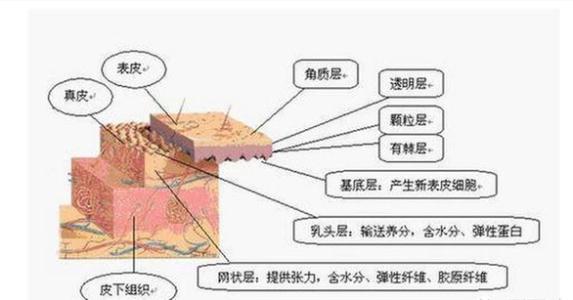 长期对着电脑皮肤怎么护理,对着电脑皮肤会变差吗