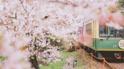 赚到了！坐火车就能出国，票价仅需200＋坐上能吹一辈子