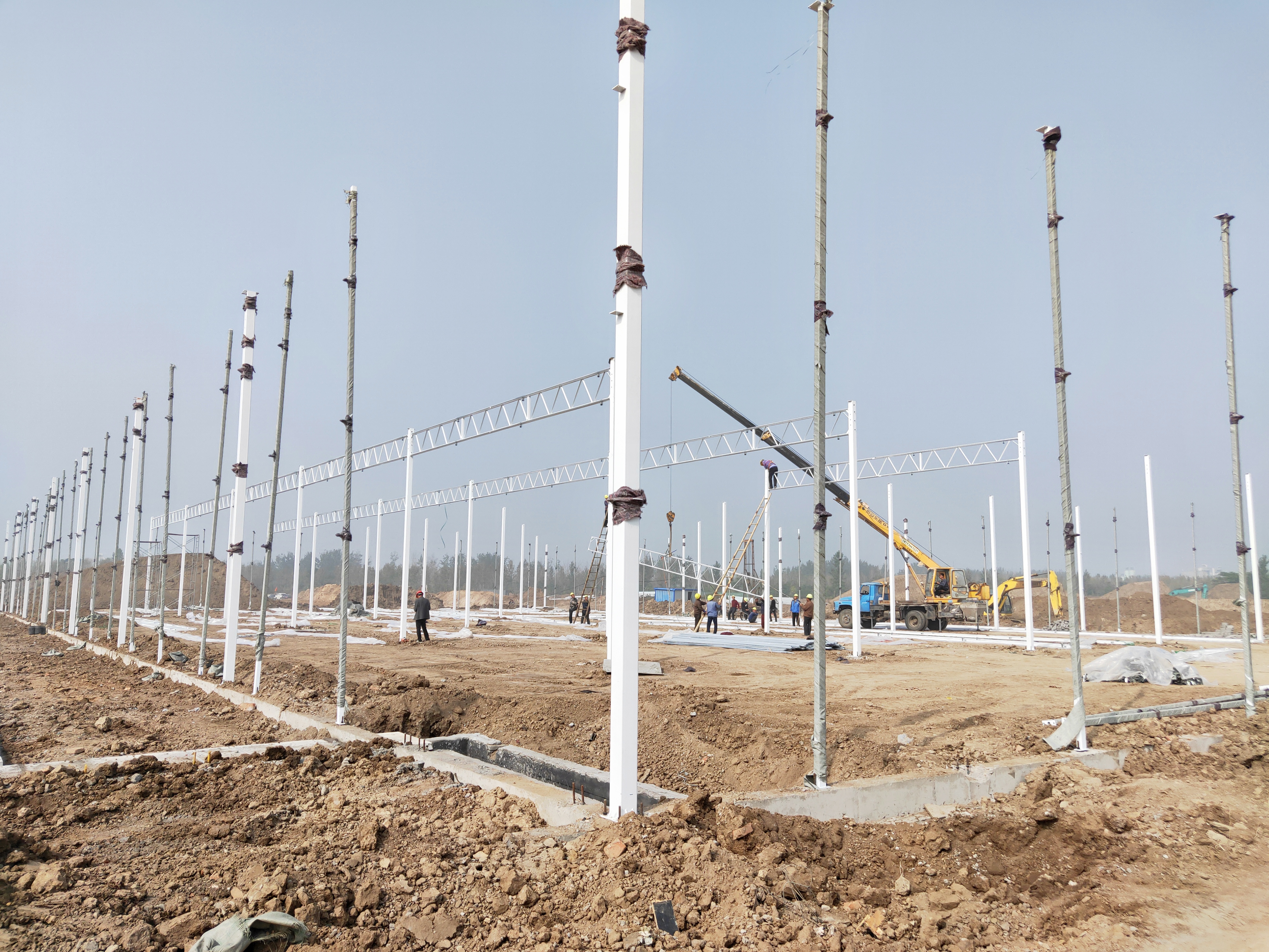 温室大棚骨架有哪些,温室大棚的骨架都有哪些