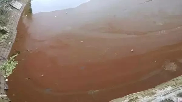 池塘水质ph值7.4是酸性还是碱性,怎样判断池塘水质