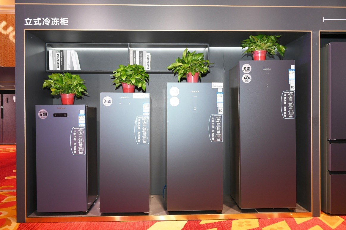 澳柯玛冰柜商用大容量,澳柯玛冰柜206g哪一款更适合家用