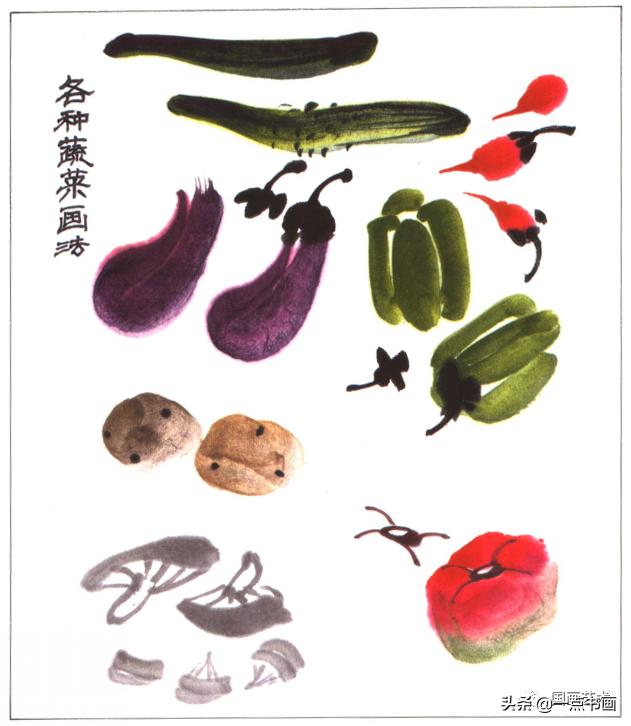 写意蔬果怎么画火龙果,100种写意蔬果画法