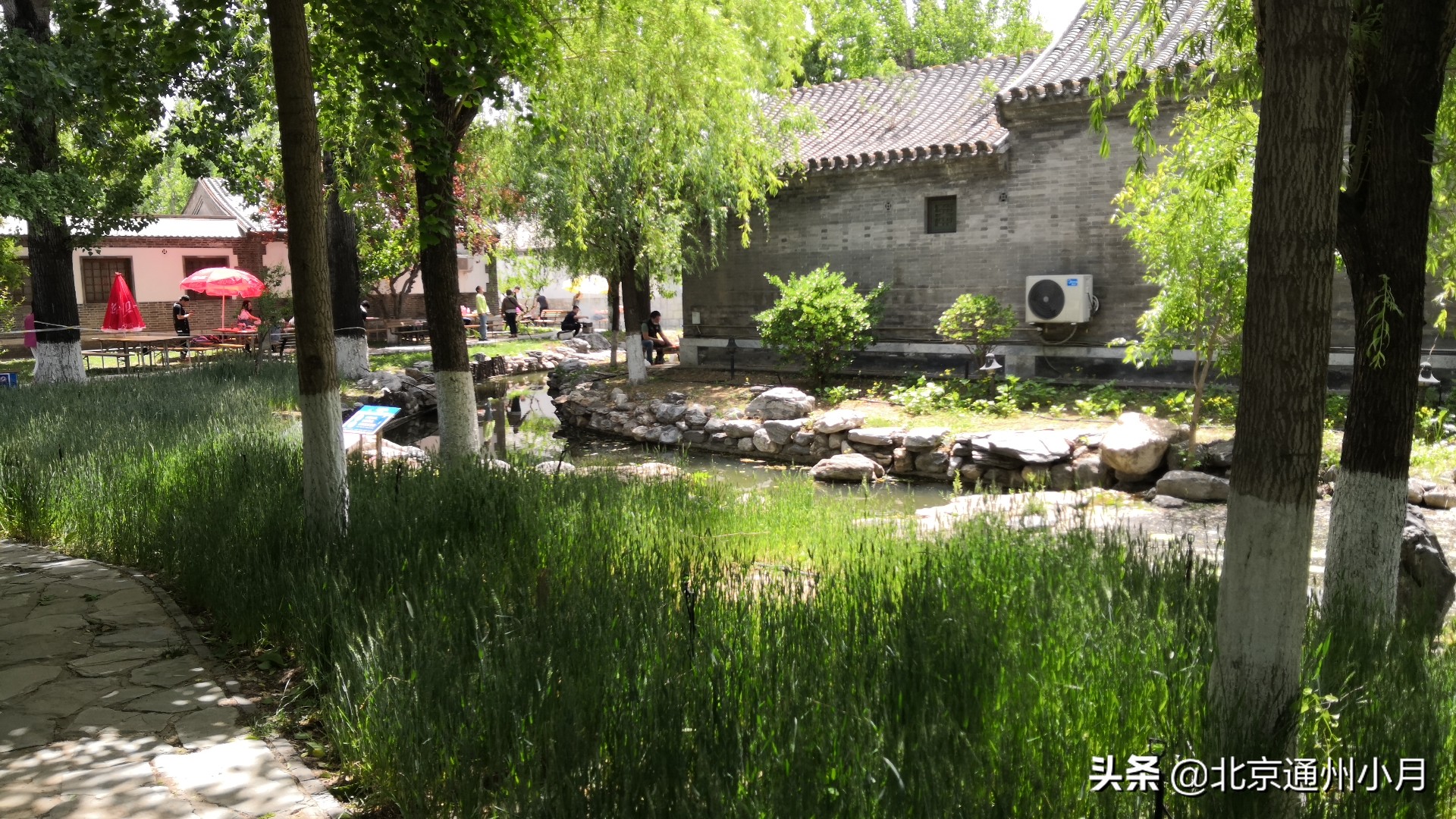 北京的蟹岛,北京最大的蟹岛