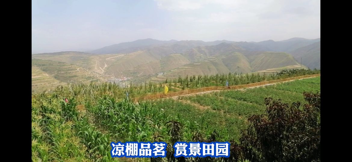 西固公园生态园,兰州周边生态园推荐