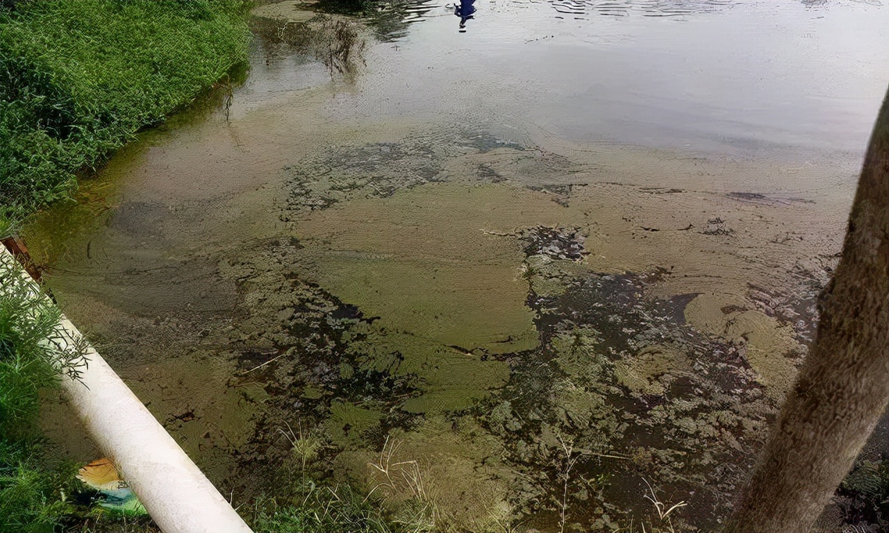 压箱底绝招，盐巴在水产上有大用