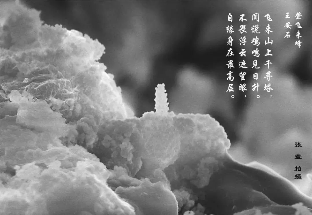 绉戠爺澹佺焊,绉戠爺浜虹殑鏂板勾澹佺焊