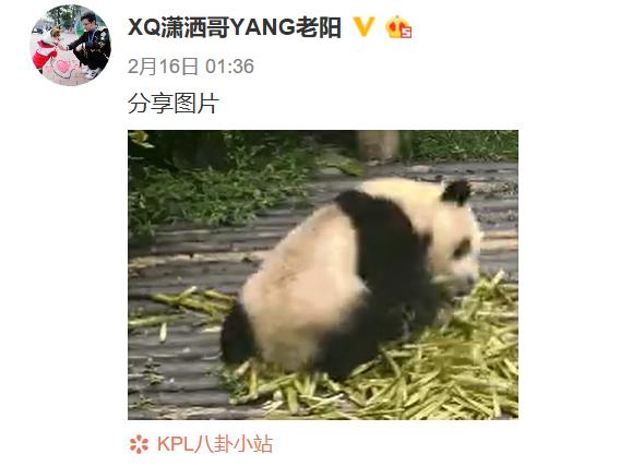 xq战队放狠话,xq战队现状