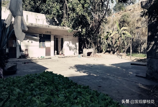 船厂生活区小区,攀枝花渡口船厂小区简介