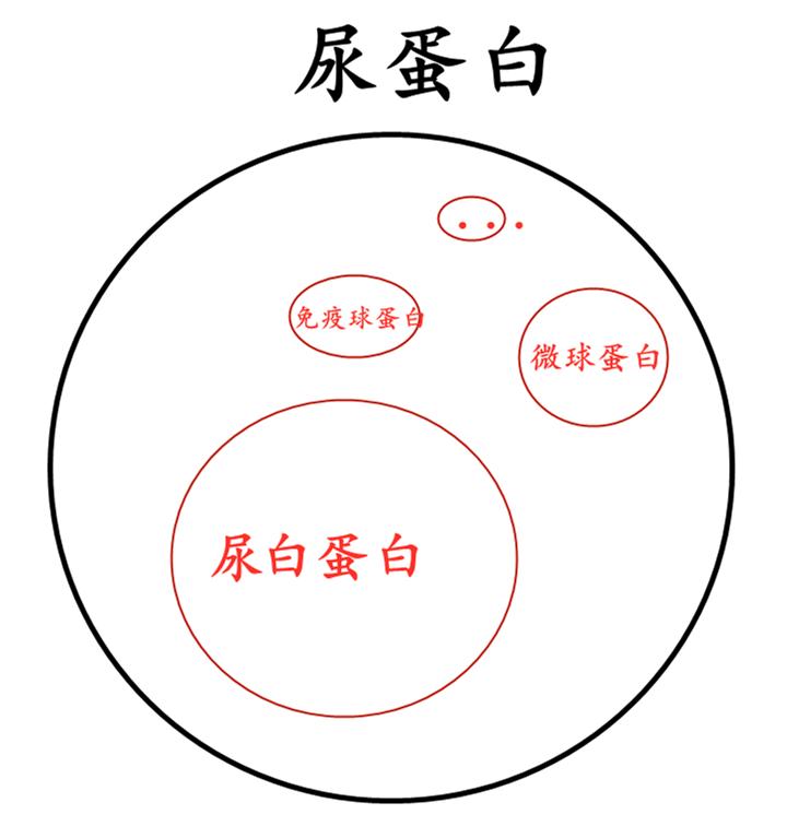 尿微量白蛋白怎么取标本,尿微量白蛋白高吃什么药