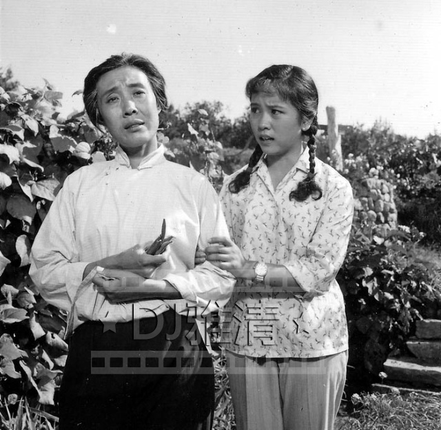 喜盈门80年代的演员,喜盈门电视剧近况