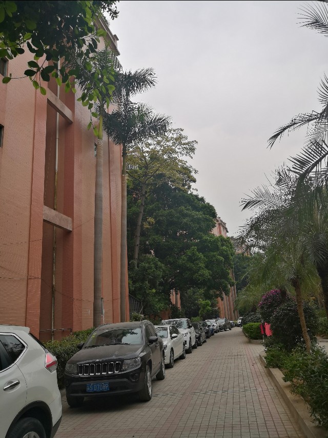 最新广州番禺大石地铁附近楼盘租房卖房价格，看完这个你就知道啦