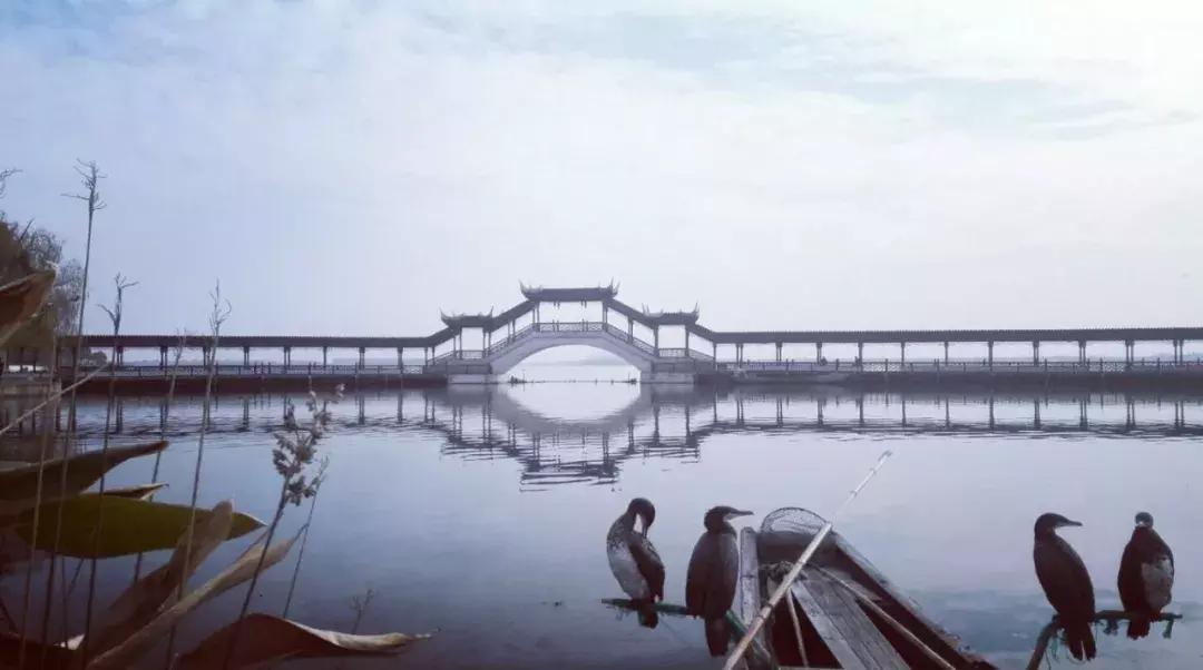 中国最富有的县有哪几个,中国最富有的地级市是哪里