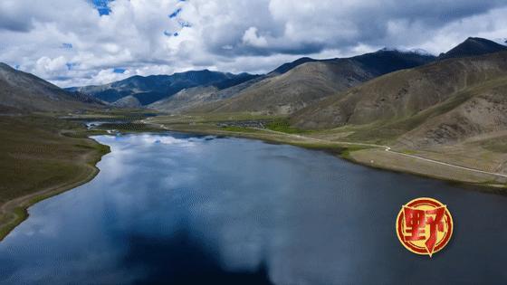 藏西有什么特色,藏戏的特点