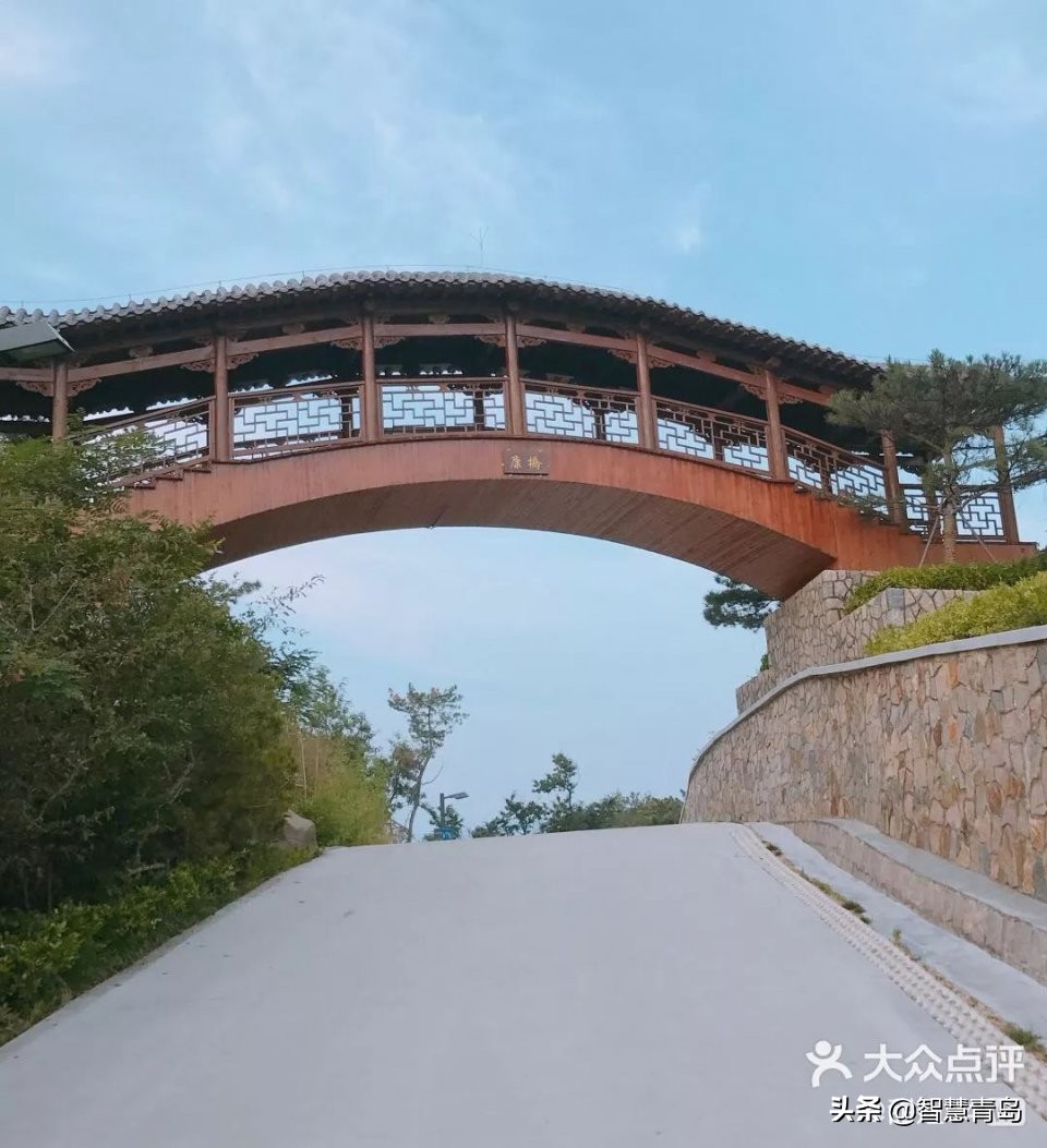 青岛威海烟台夏天哪个凉快,青岛夏季游玩攻略大全