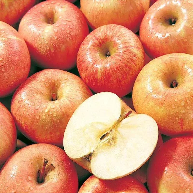 金秋采摘正当时!山东这十种田间美味错过再等一年!