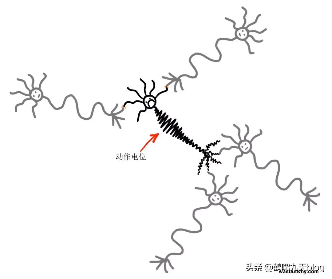 人类大脑如何超越人工智能,人类的出路在于将自身升级为神