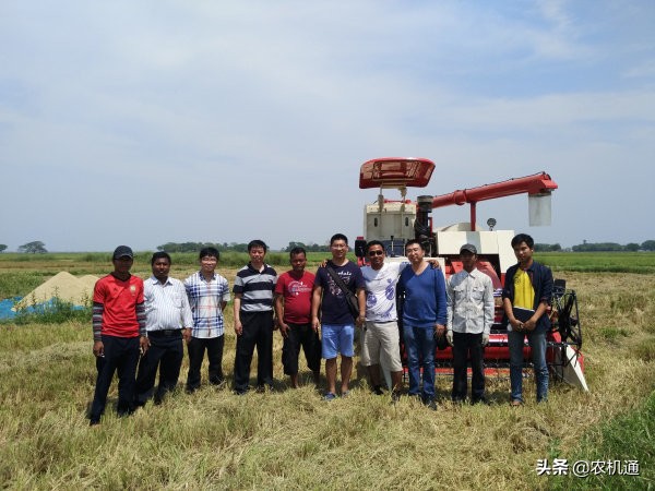 双循环格局下农业发展的机遇,双循环对外贸发展的要求