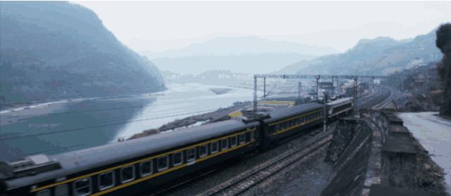 徐闻菠萝与武汉菠萝区别,徐闻菠萝跟普通菠萝的区别