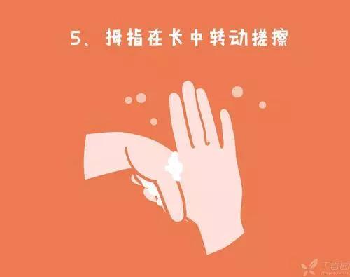 香港淘大花园怎么样,香港淘大花园是在哪里