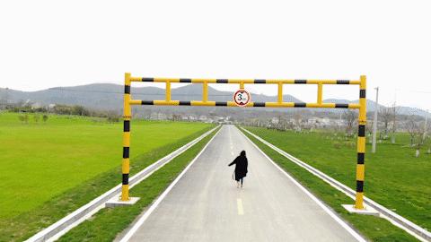 2020江苏省最美乡村道路评选结果,中国十大美丽乡村南京