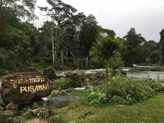 老挝咖啡介绍,最火爆的老挝咖啡