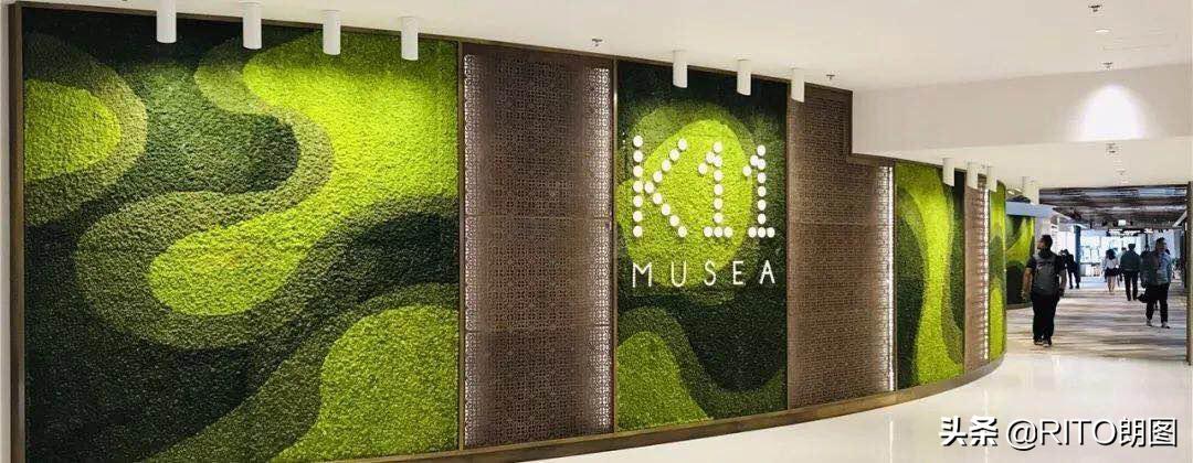 现象级新项目一览,现象级创业是什么