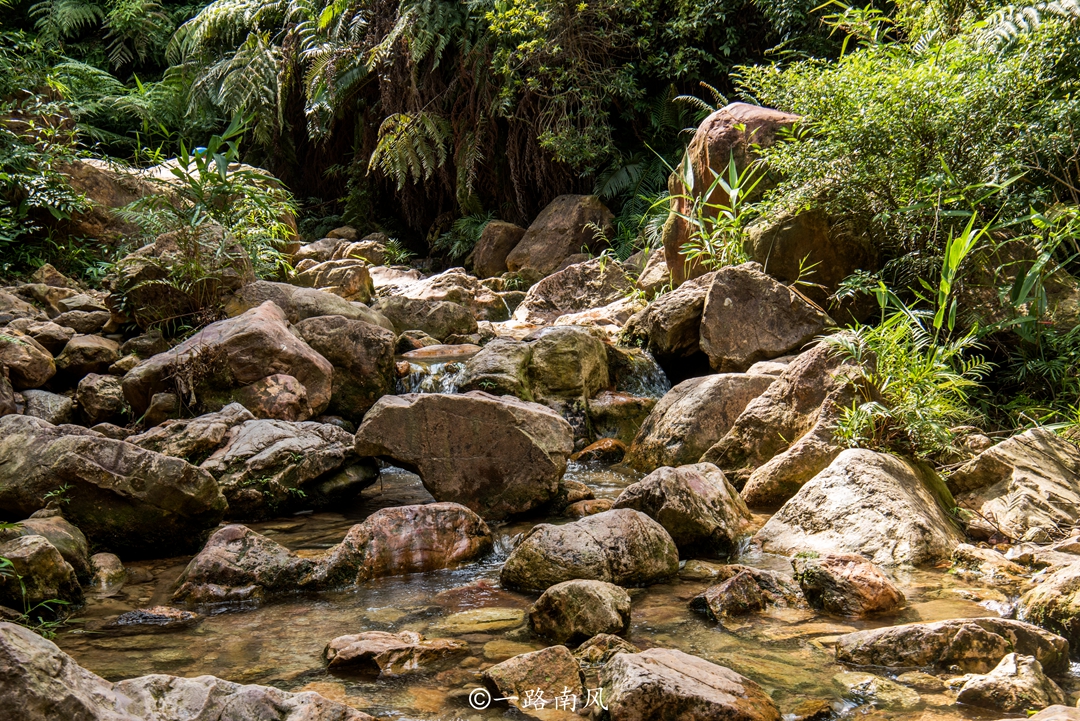 佛山出发九寨沟,广东九寨沟自驾游