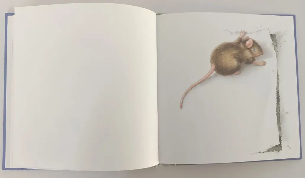 绘本3-6岁经典绘本米老鼠,适合小老鼠的绘本