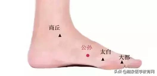 健康管理师需要哪些技巧,健康管理师基础知识100条