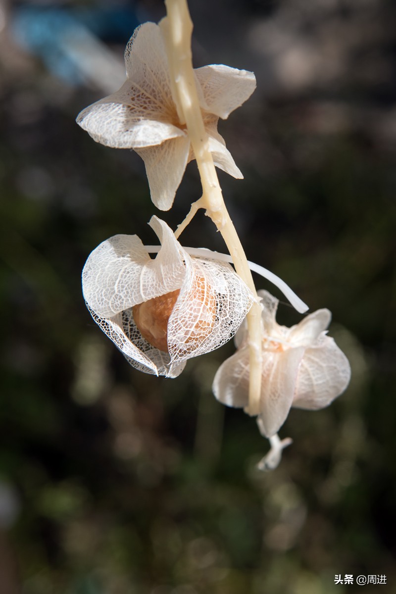 56岁搬运工,农村小伙土特产搬运工