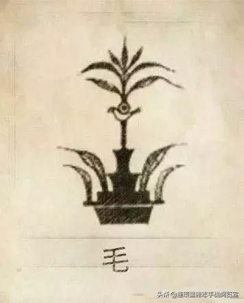 中国100大姓氏图腾大全,姓氏图腾大全史姓图腾是什么