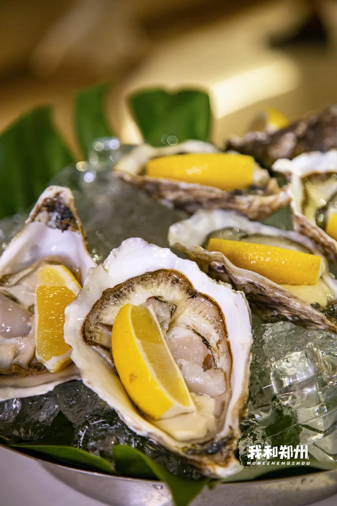 鑸屽皷涓婄殑缇庨娣卞害涔嬫梾,甯︿綘浜彈鑸屽皷涓婄殑缇庨