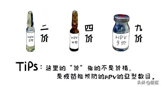 3.8妇女节可以打hpv疫苗吗,三八妇女节关爱他人