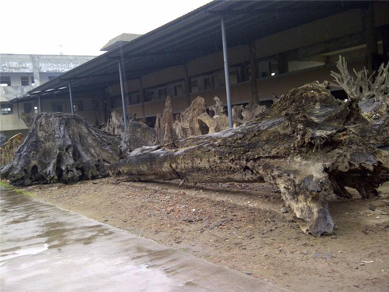 金丝楠木清皇帝龙椅,千年阴沉木皇宫椅