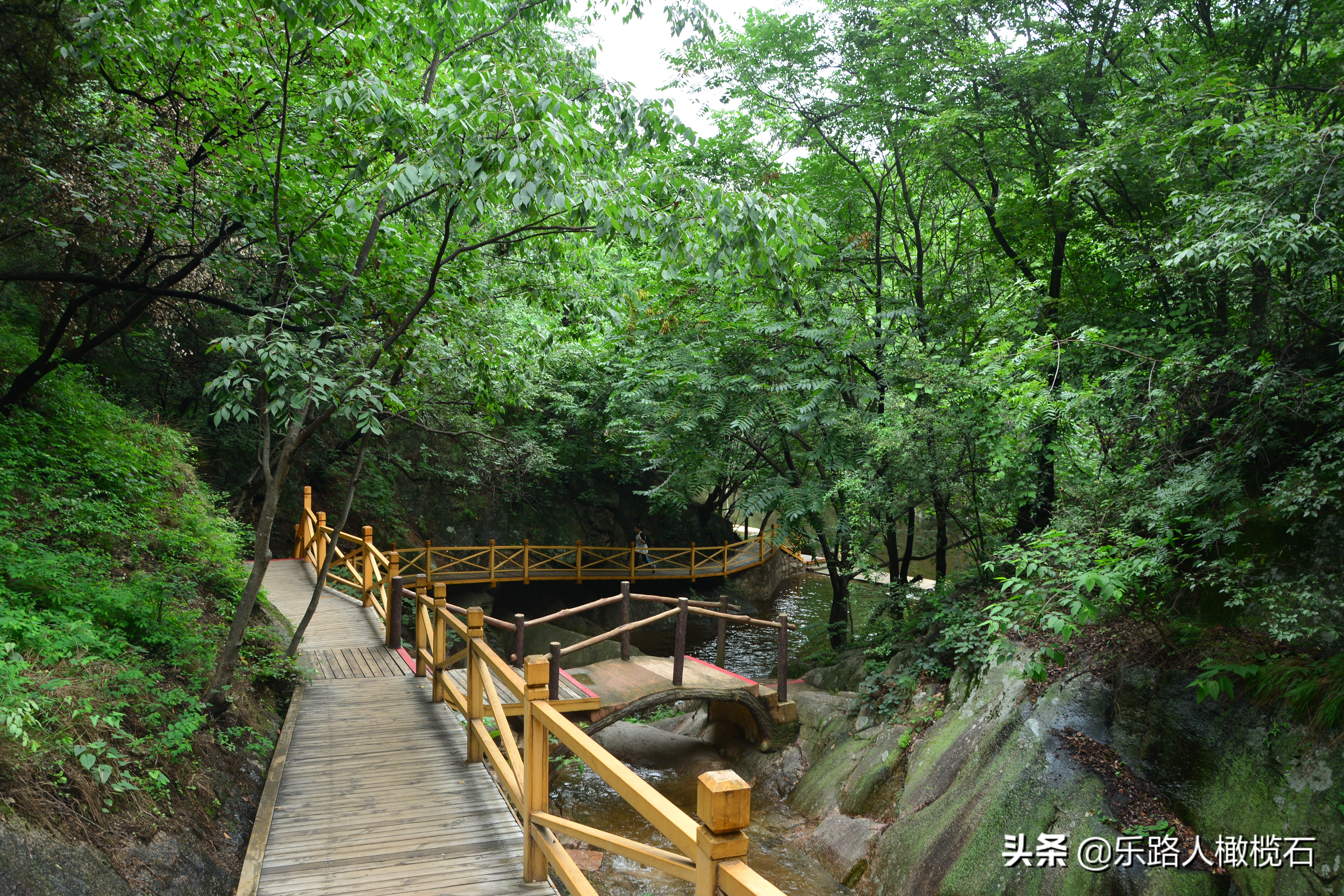 平顶山画眉谷旅游,河南鲁山免费景点