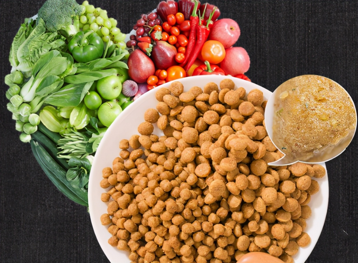 狗粮怎么挑选平价国产狗粮篇,如何帮狗狗挑选狗粮看配料表