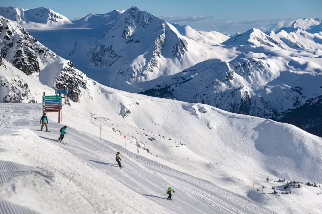 冬季世界冠军,世界冠军的辛酸